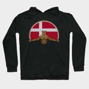 Cheetah Denmark Hoodie